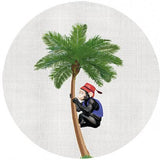 COLONIAL PALM